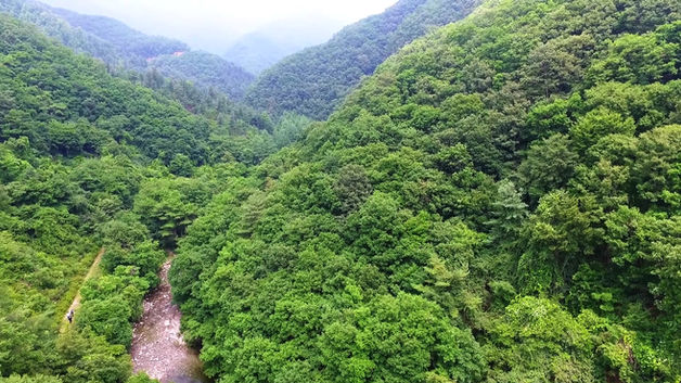 가평 숲속야영장